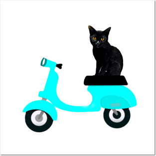 MOTORCYCLE RIDE CAT II Posters and Art